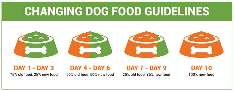 Changing Dog Food Guidelines